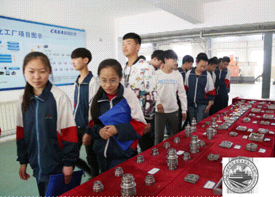 图片6